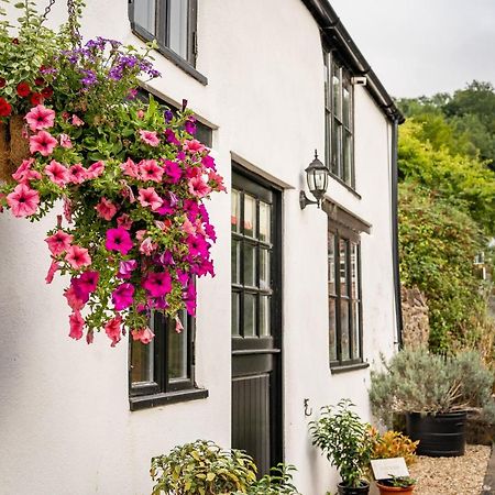 Woodview - Cosy 1840S Cottage In Chew Valley And Mendip Aonb Compton Martin Exteriér fotografie