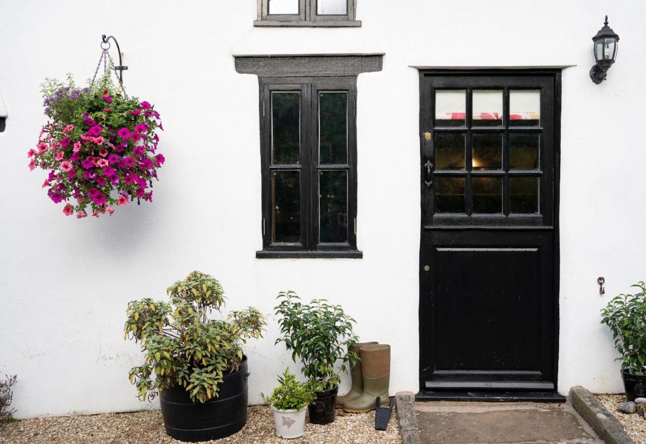 Woodview - Cosy 1840S Cottage In Chew Valley And Mendip Aonb Compton Martin Exteriér fotografie
