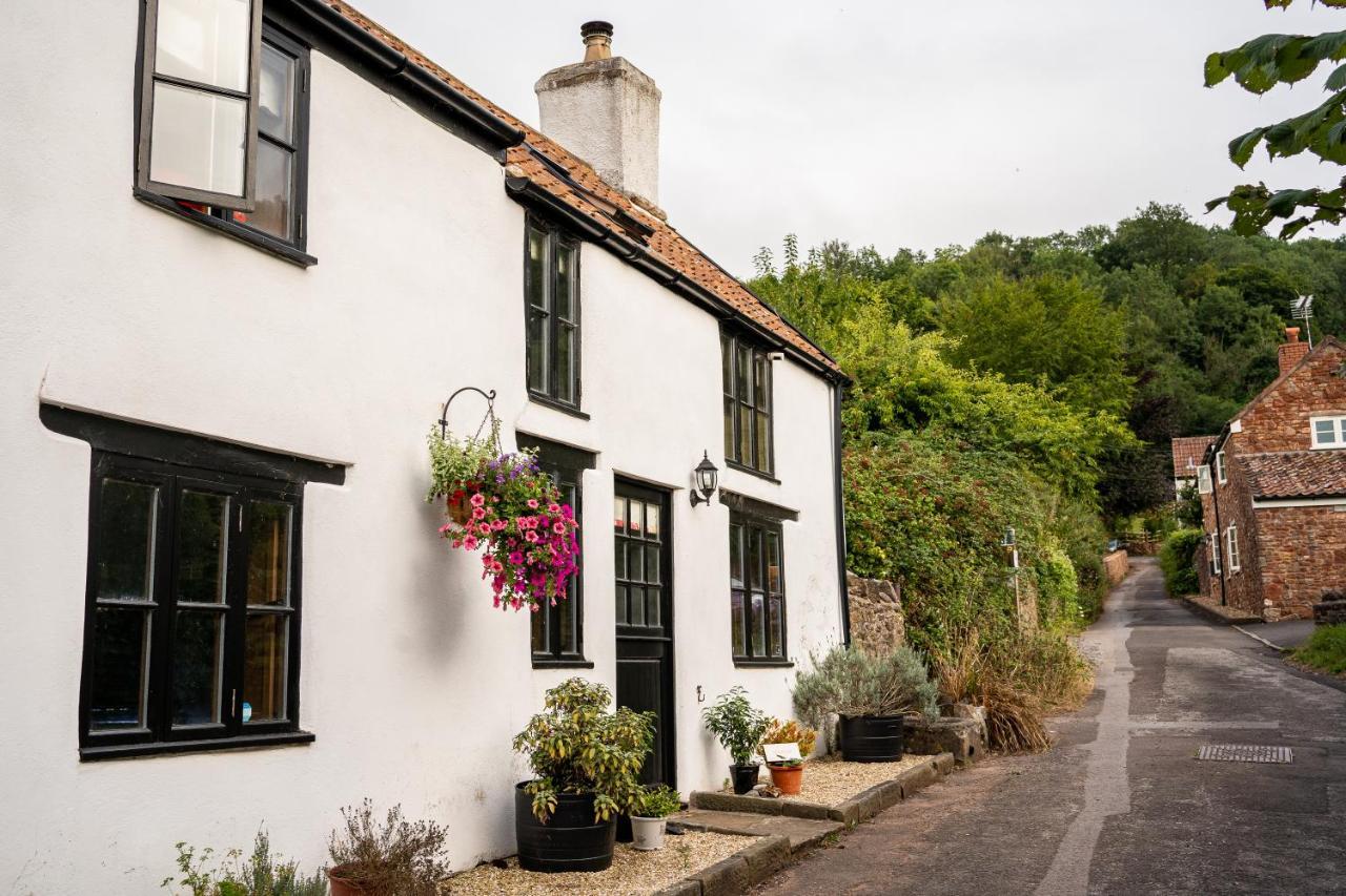 Woodview - Cosy 1840S Cottage In Chew Valley And Mendip Aonb Compton Martin Exteriér fotografie