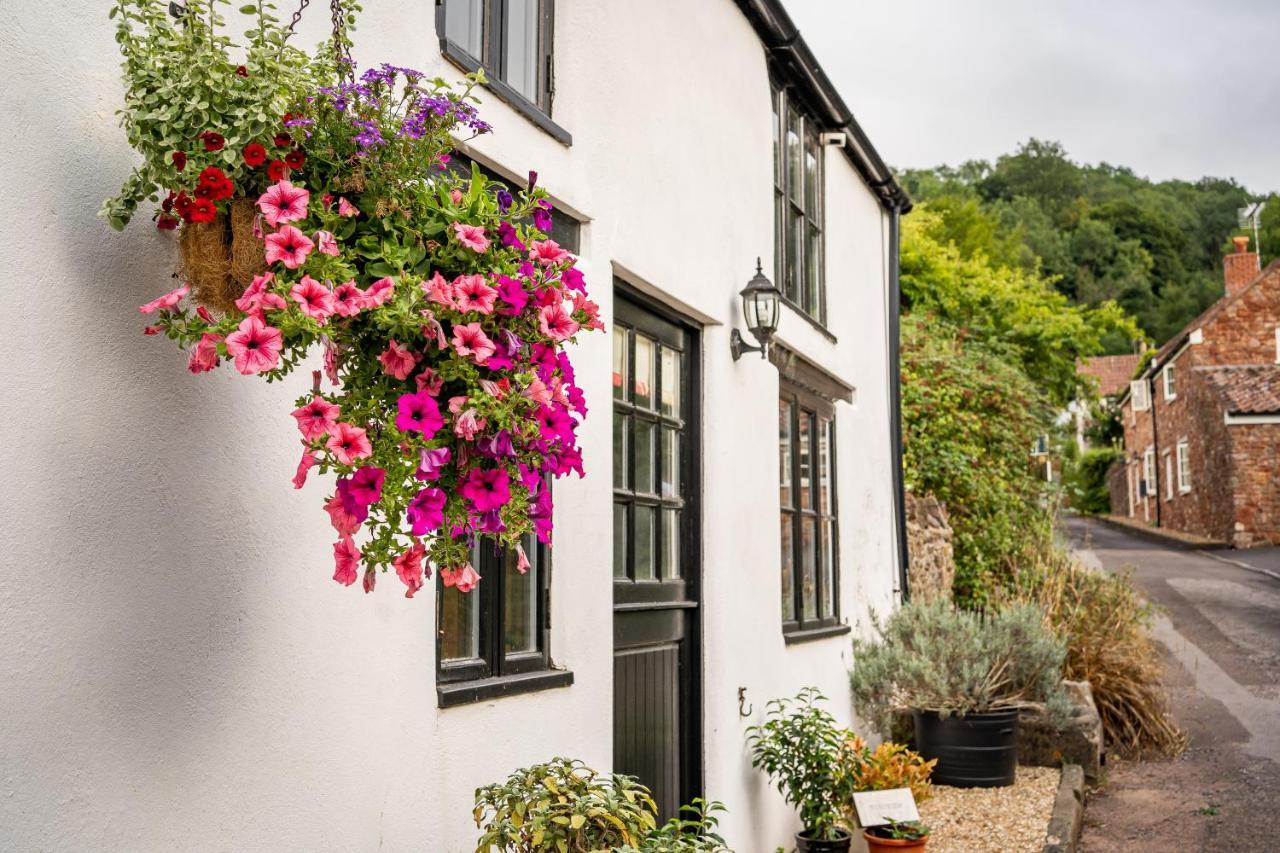 Woodview - Cosy 1840S Cottage In Chew Valley And Mendip Aonb Compton Martin Exteriér fotografie